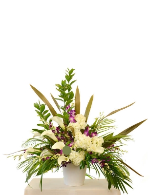Show details for Tropical Memories Vase Arrangement Picture of Tropical Memories Vase Arrangement