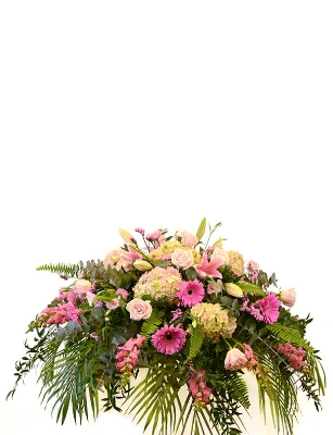 Show details for Pretty in Pink Picture of Pretty in Pink