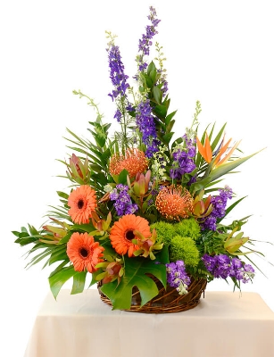 Show details for Brilliant Blessings Picture of Brilliant Blessings