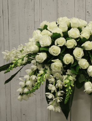 Show details for Pure Elegance Picture of Pure Elegance