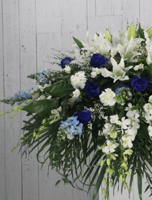 Show details for Forever Blue Picture of Forever Blue