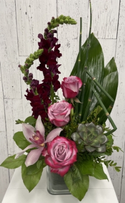 Show details for Orchid Jewels Picture of Orchid Jewels